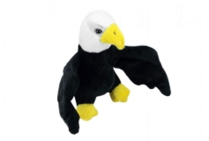 Kuschel Vögel